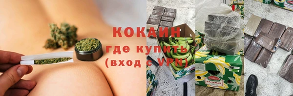 индика Елабуга