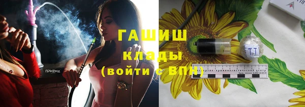хмурый Ельня