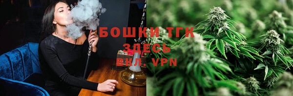 индика Елабуга