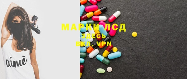 индика Елабуга