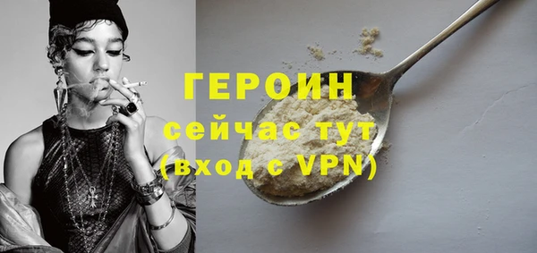 хмурый Ельня