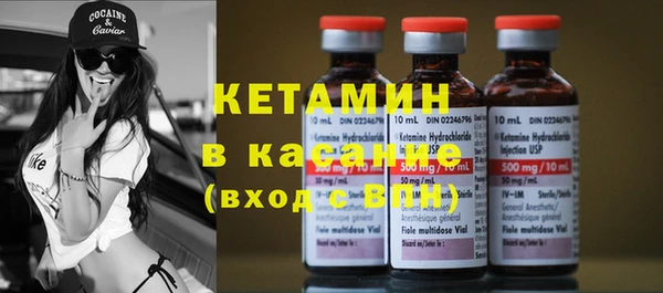 хмурый Ельня