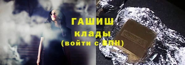 стафф Елизово