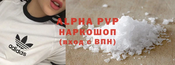 стафф Елизово
