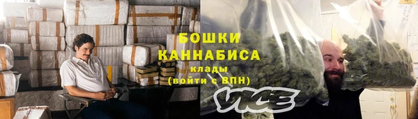 индика Елабуга