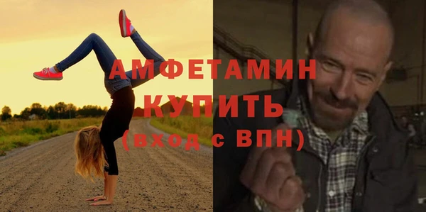 хмурый Ельня