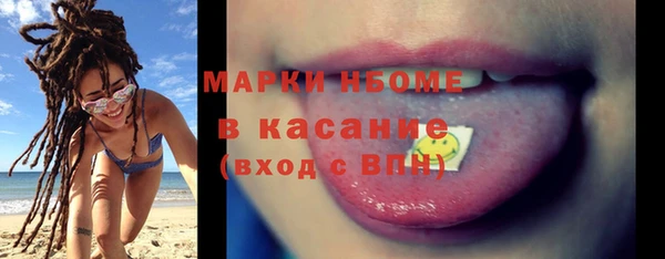 индика Елабуга
