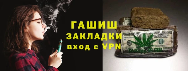 индика Елабуга