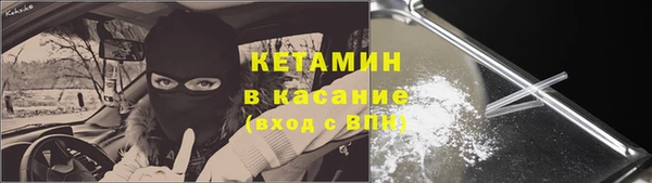 хмурый Ельня