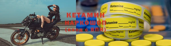 индика Елабуга
