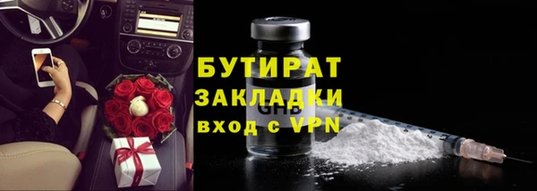 хмурый Ельня