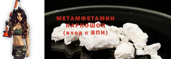 индика Елабуга