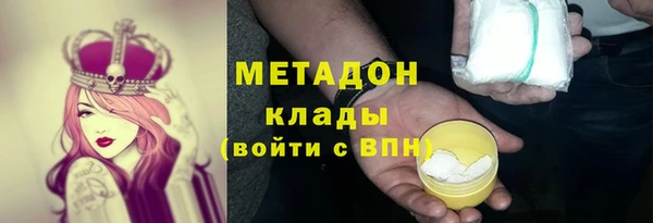 индика Елабуга