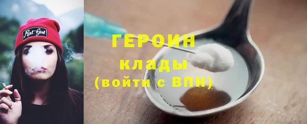 индика Елабуга