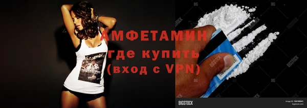 хмурый Ельня