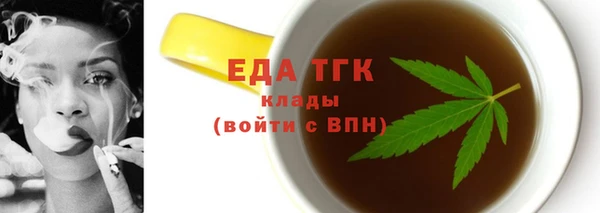 индика Елабуга