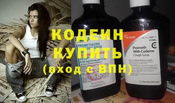 хмурый Ельня