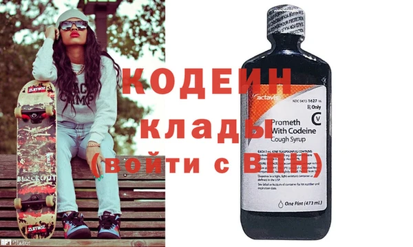 хмурый Ельня