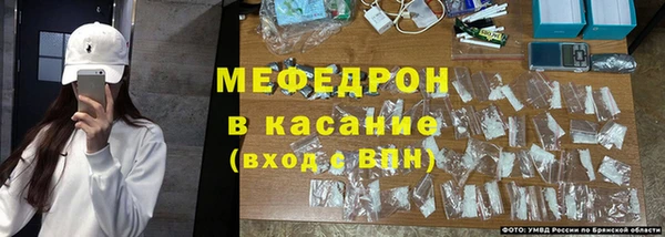 стафф Елизово