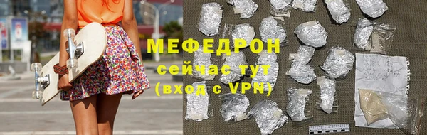 индика Елабуга