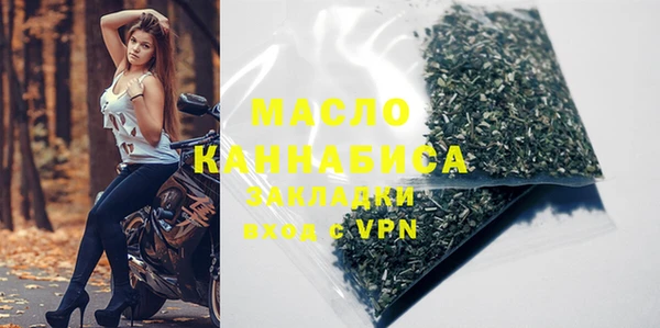 индика Елабуга