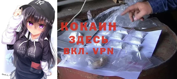 индика Елабуга