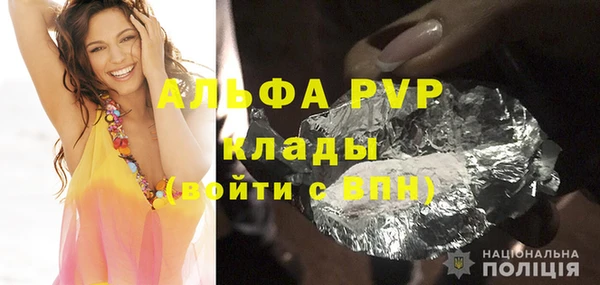 стафф Елизово
