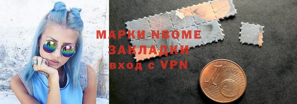хмурый Ельня