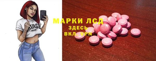 индика Елабуга