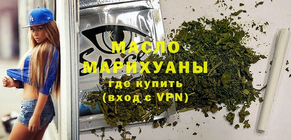 хмурый Ельня