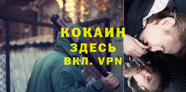 индика Елабуга